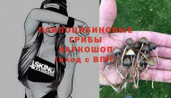 a pvp Арсеньев