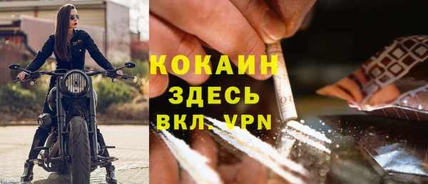 PSILOCYBIN Балабаново